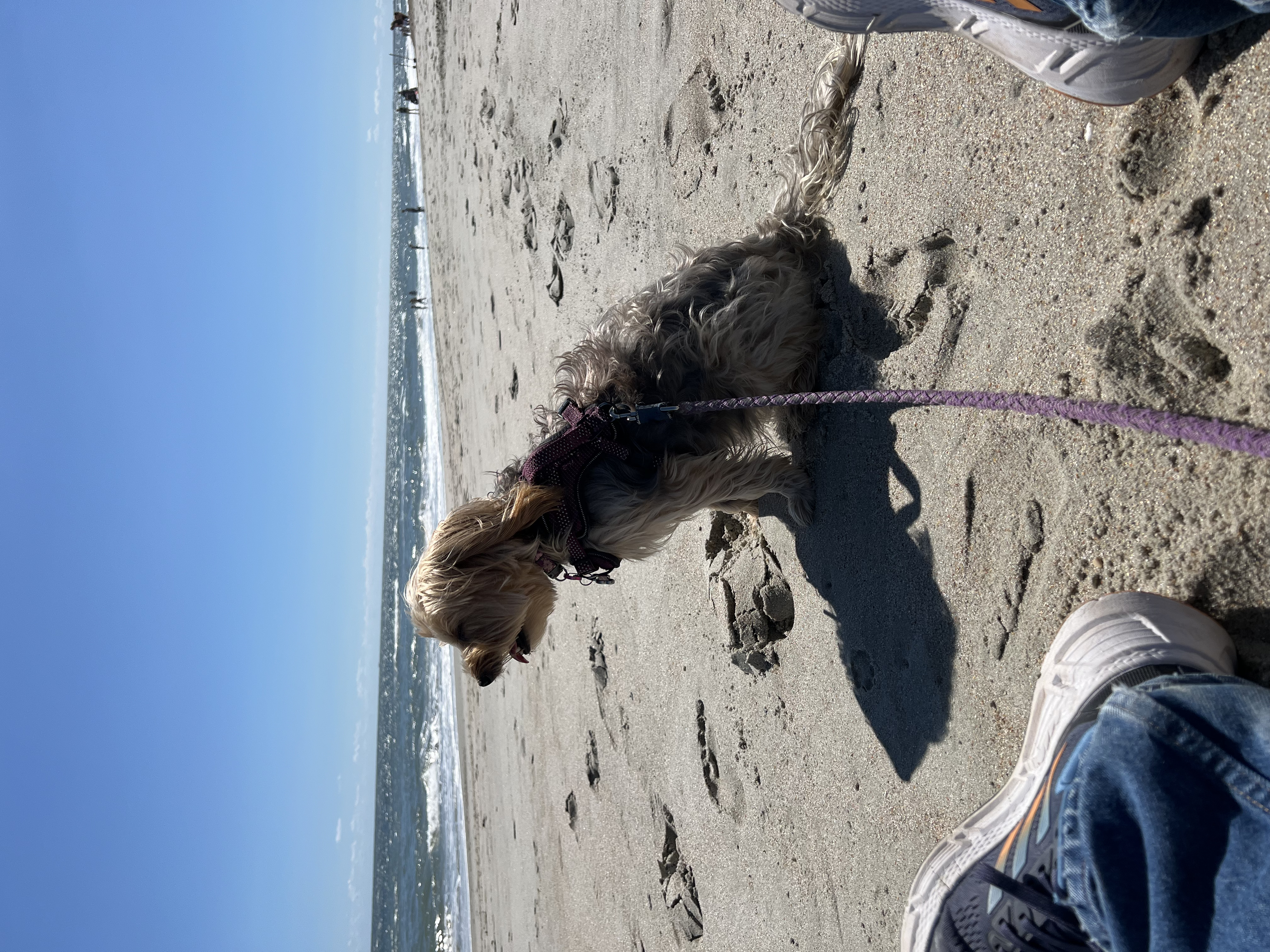 ./2024/10 - Myrtle Beach/IMG_2904.jpg